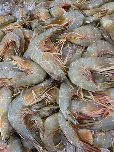 seafood delivery singapore|Online Fresh Fish Delivery in Singapore .